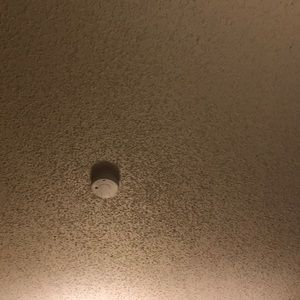 Meet your Posher, Vernon